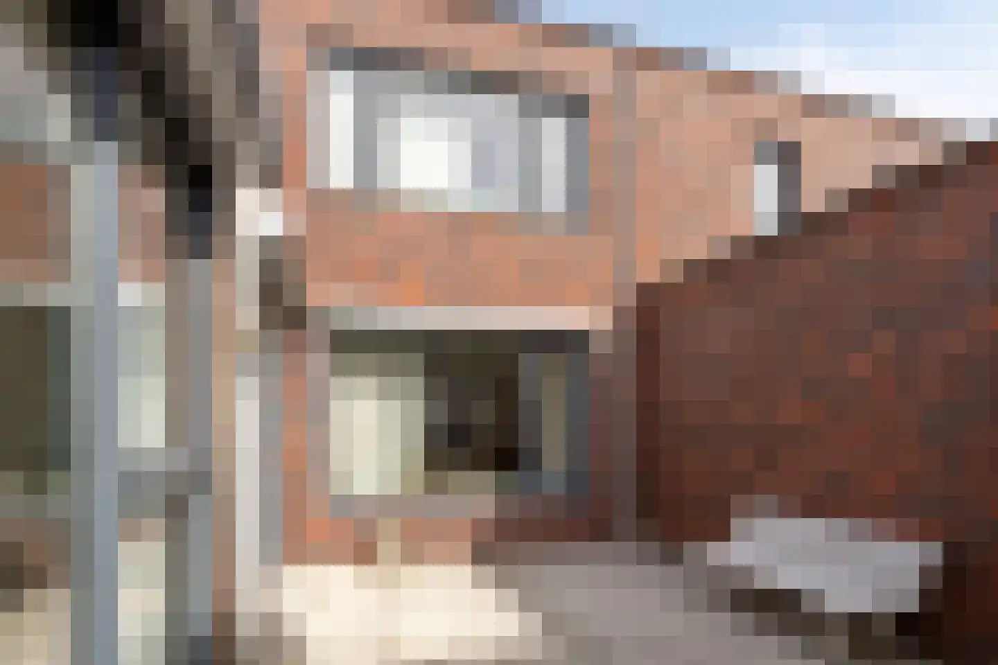 Bieslookstraat 4 Heinkenszand thumbnail 36