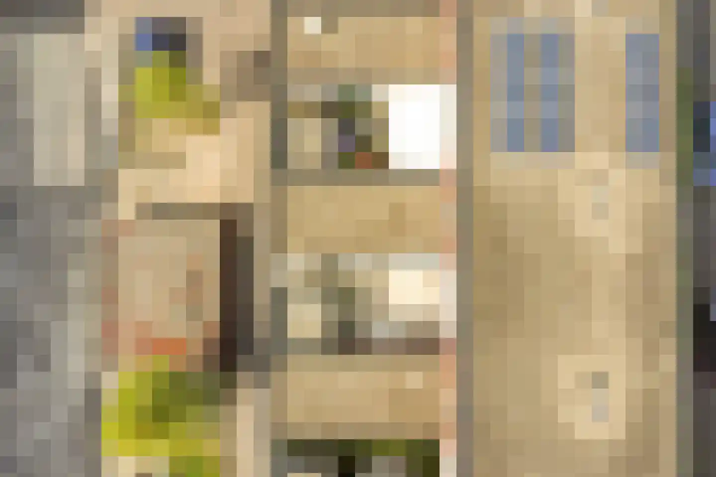 Bieslookstraat 4 Heinkenszand thumbnail 38