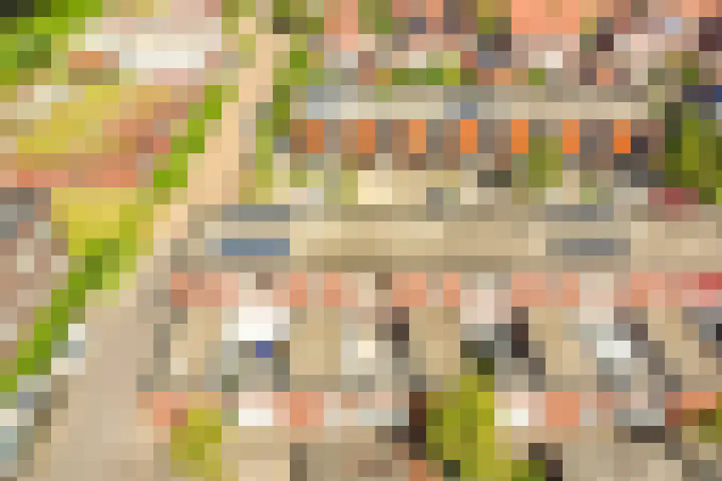 Bieslookstraat 4 Heinkenszand thumbnail 39