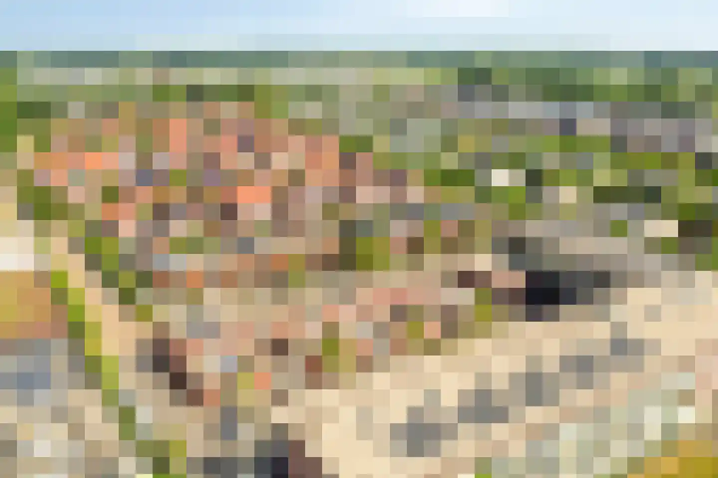 Bieslookstraat 4 Heinkenszand thumbnail 40