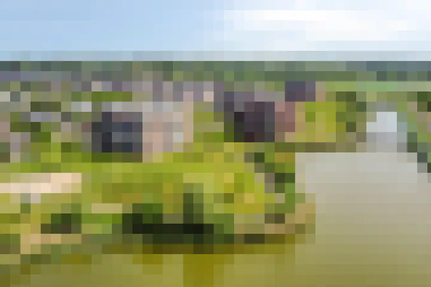 Bieslookstraat 4 Heinkenszand thumbnail 42