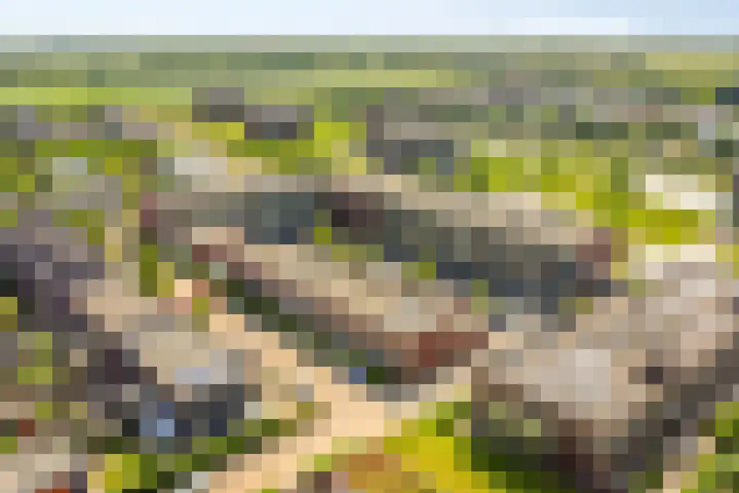 Bieslookstraat 4 Heinkenszand thumbnail 6