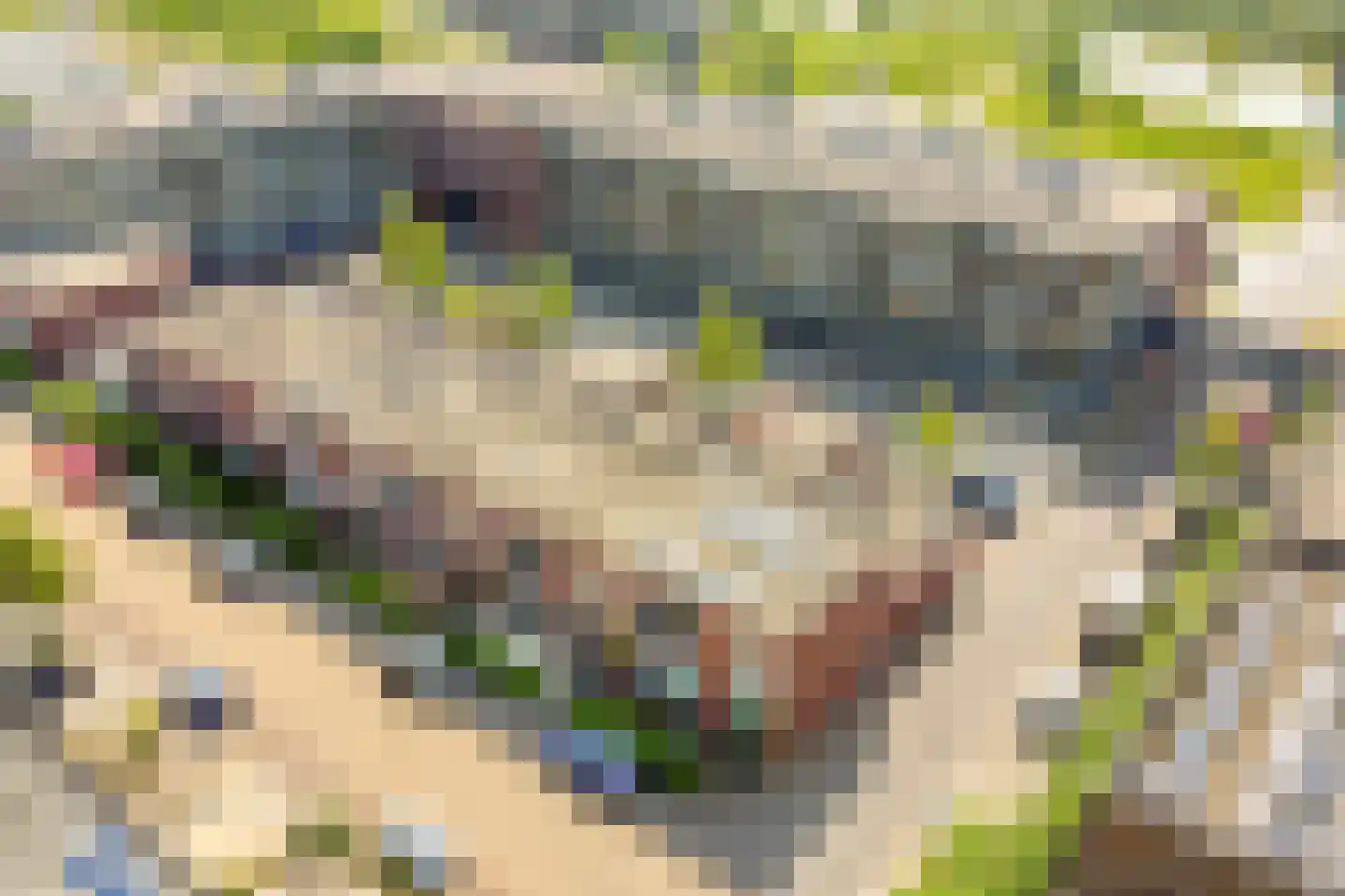 Bieslookstraat 4 Heinkenszand thumbnail 7