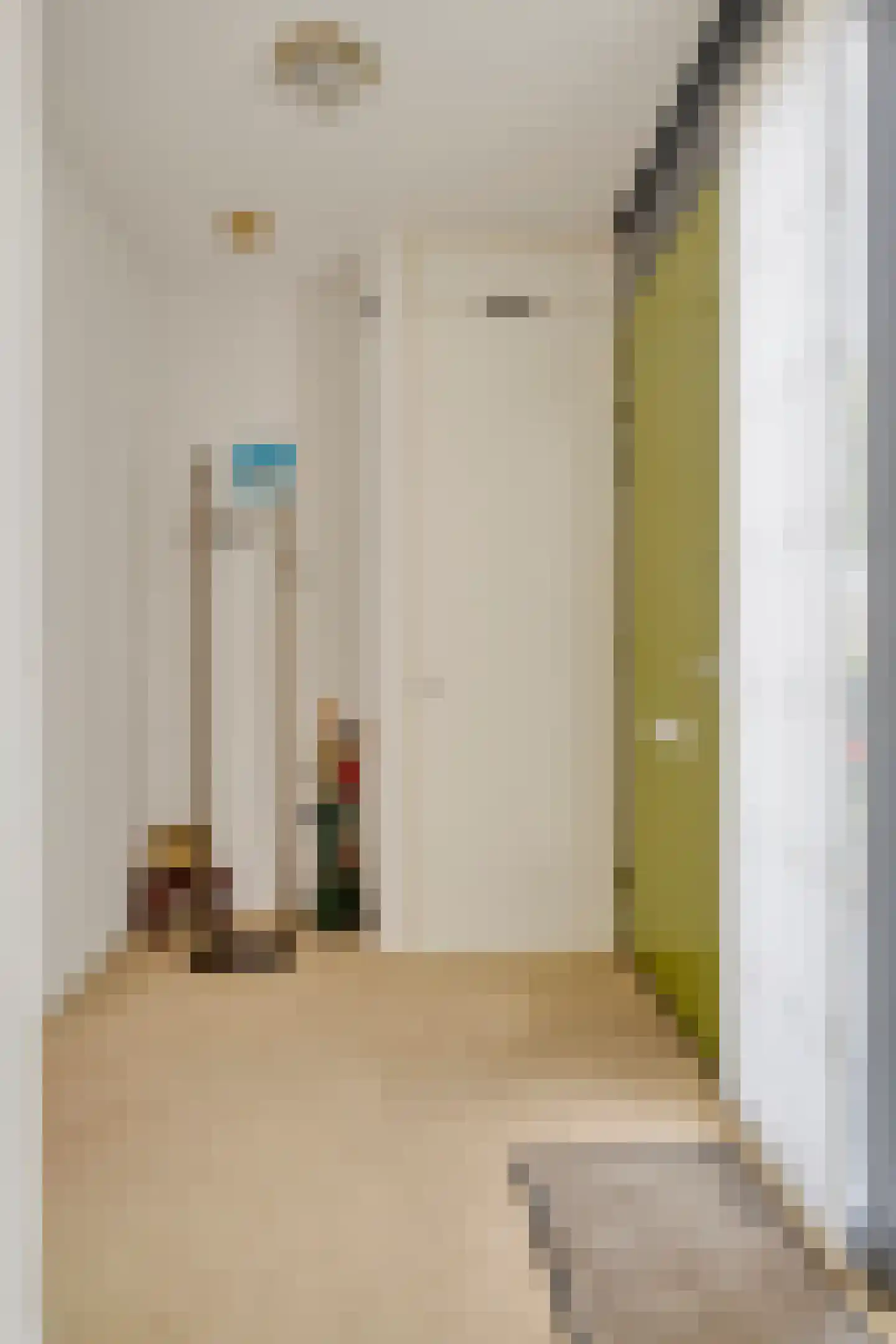 Bieslookstraat 4 Heinkenszand thumbnail 8