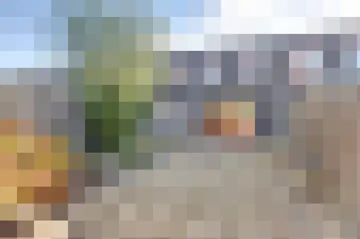Bieslookstraat 5 Heinkenszand thumbnail 24