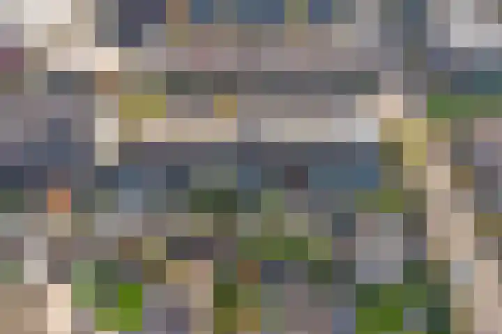 Bieslookstraat 5 Heinkenszand thumbnail 33