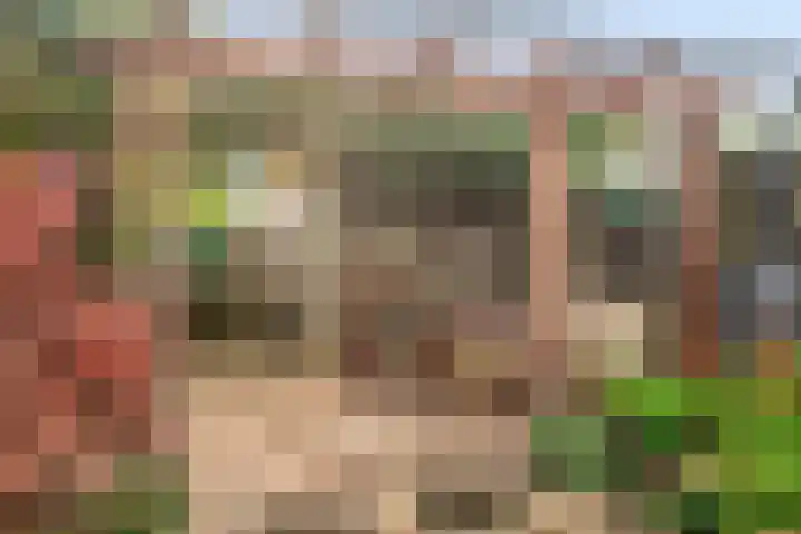 Bieslookstraat 9 Utrecht thumbnail 15