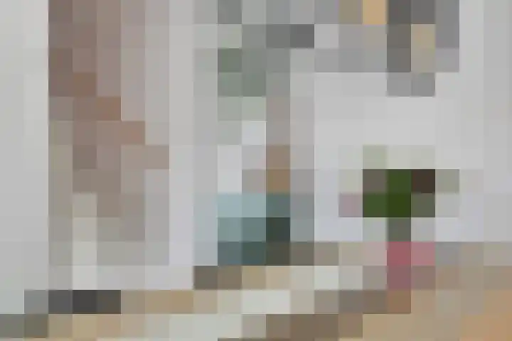 Bieslookstraat 9 Utrecht thumbnail 20