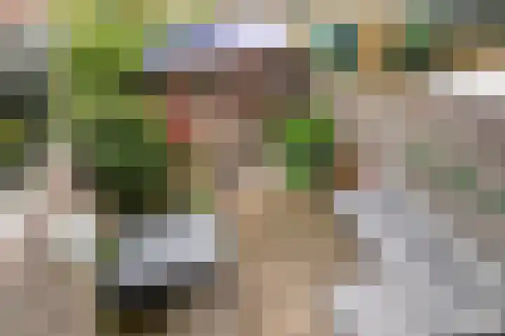 Bieslookstraat 9 Utrecht thumbnail 31