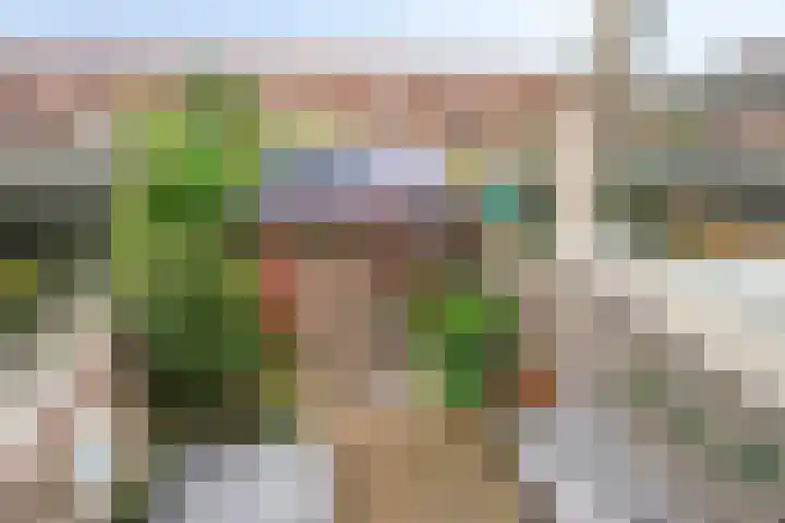 Bieslookstraat 9 Utrecht thumbnail 32