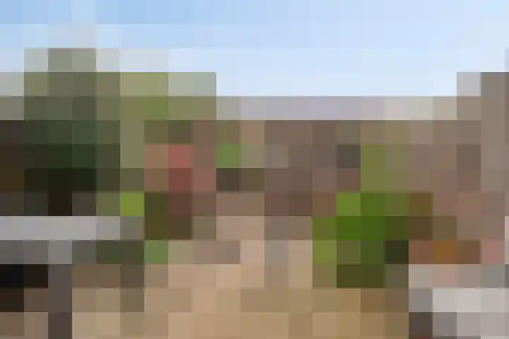 Bieslookstraat 9 Utrecht thumbnail 5