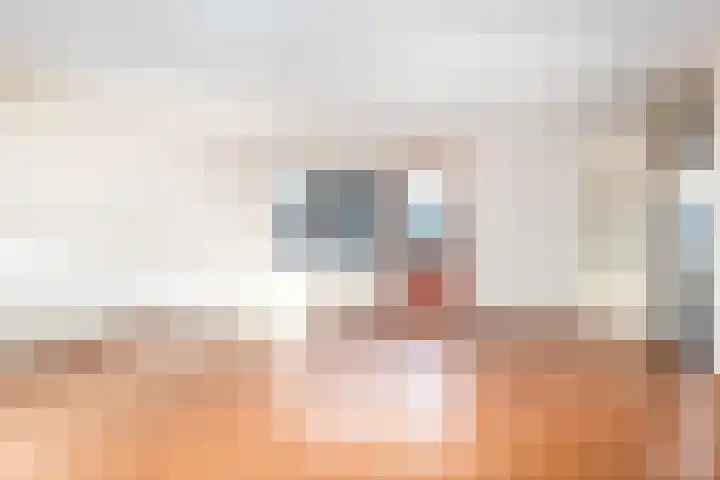 Bieslookveld 24 Doetinchem thumbnail 11