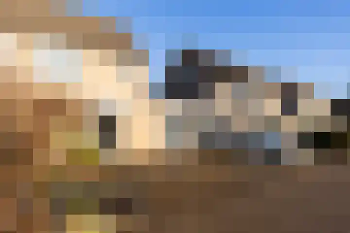 Bieslookveld 24 Doetinchem thumbnail 27
