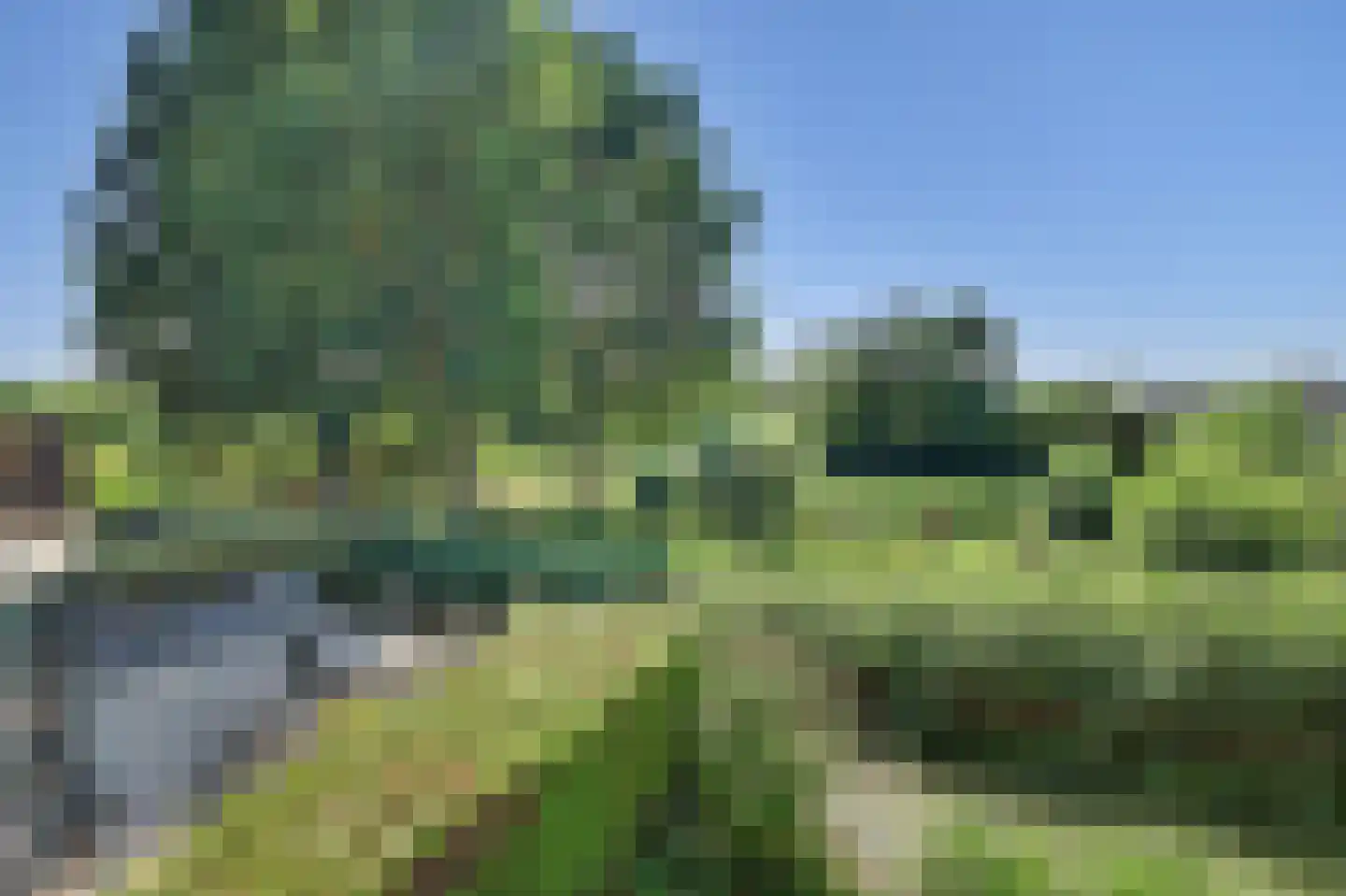 Bieslookveld 3 Schiedam thumbnail 29