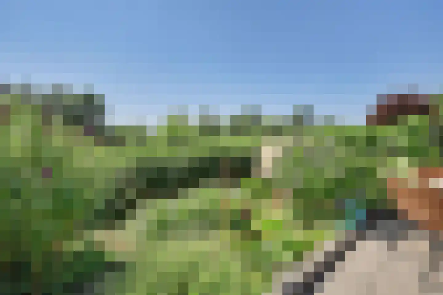 Bieslookveld 3 Schiedam thumbnail 34