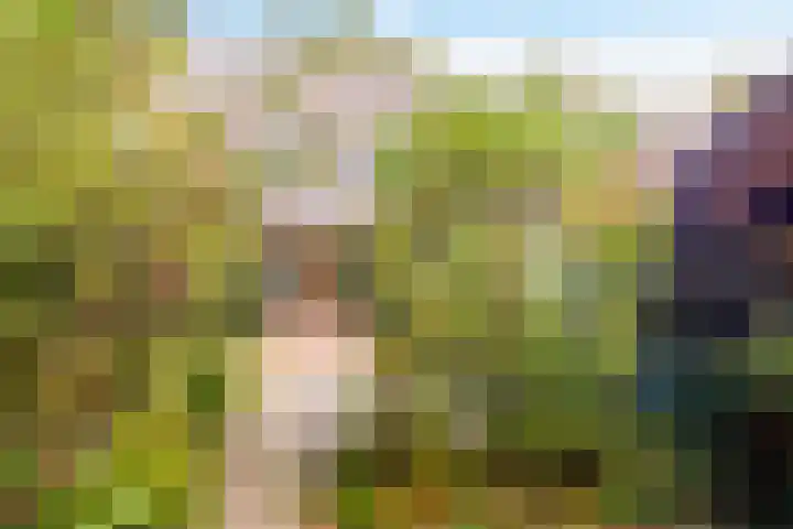 Bieslookveld 39 Doetinchem thumbnail 19