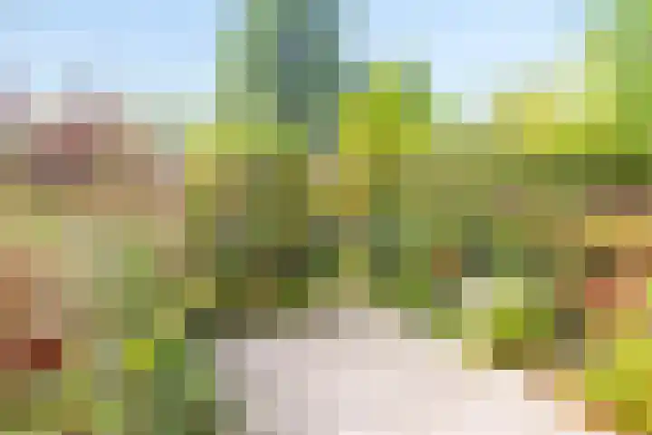 Bieslookveld 39 Doetinchem thumbnail 21