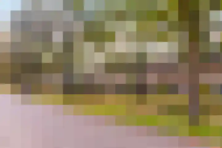 Bieslookveld 39 Doetinchem thumbnail 6