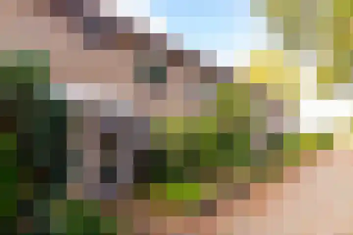 Bieslookveld 39 Doetinchem thumbnail 7