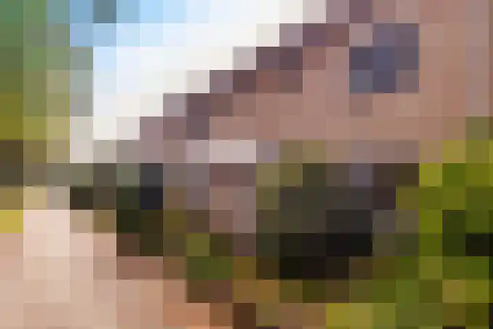 Bieslookveld 39 Doetinchem thumbnail 8