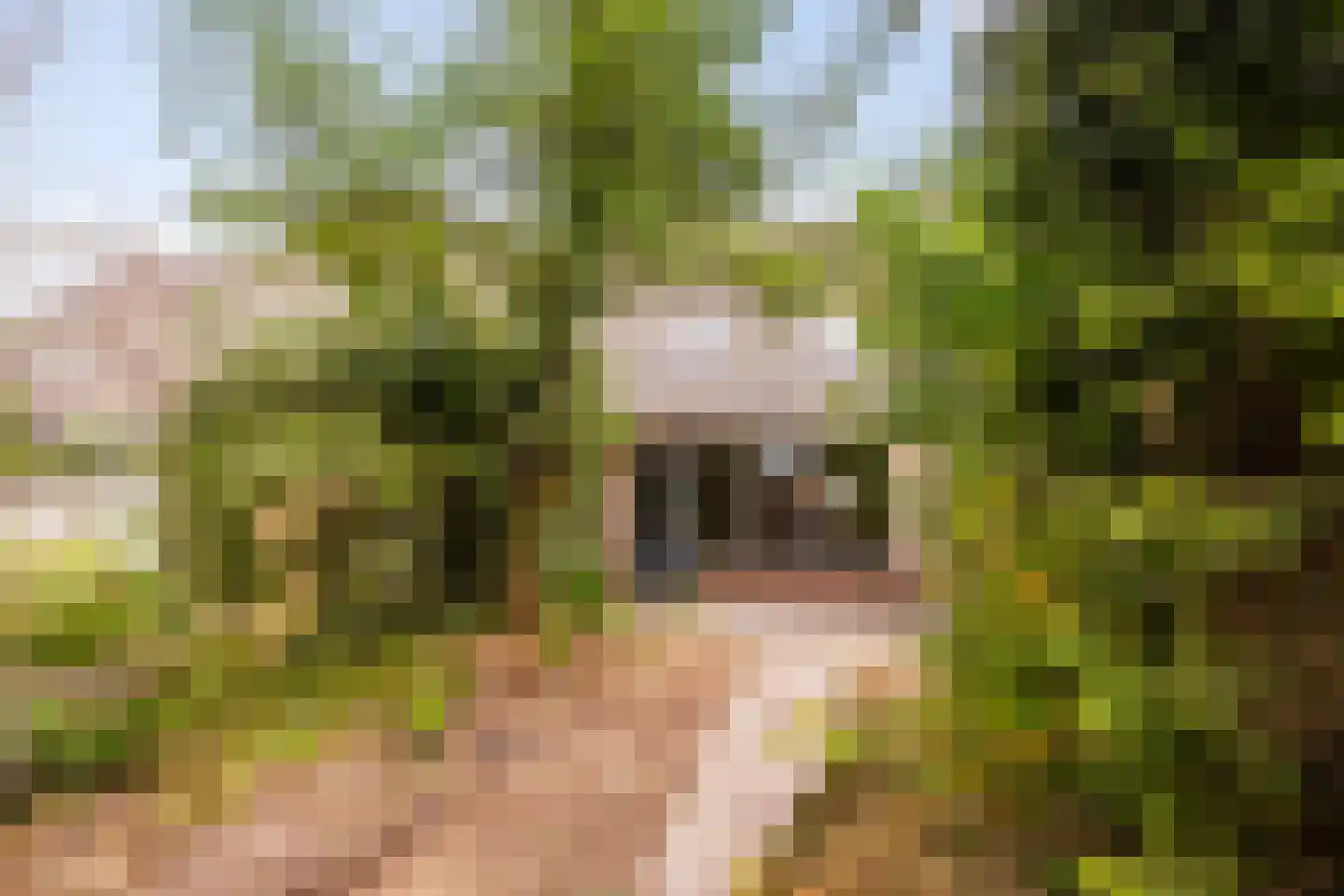 Bieslookveld 41 Doetinchem thumbnail 17