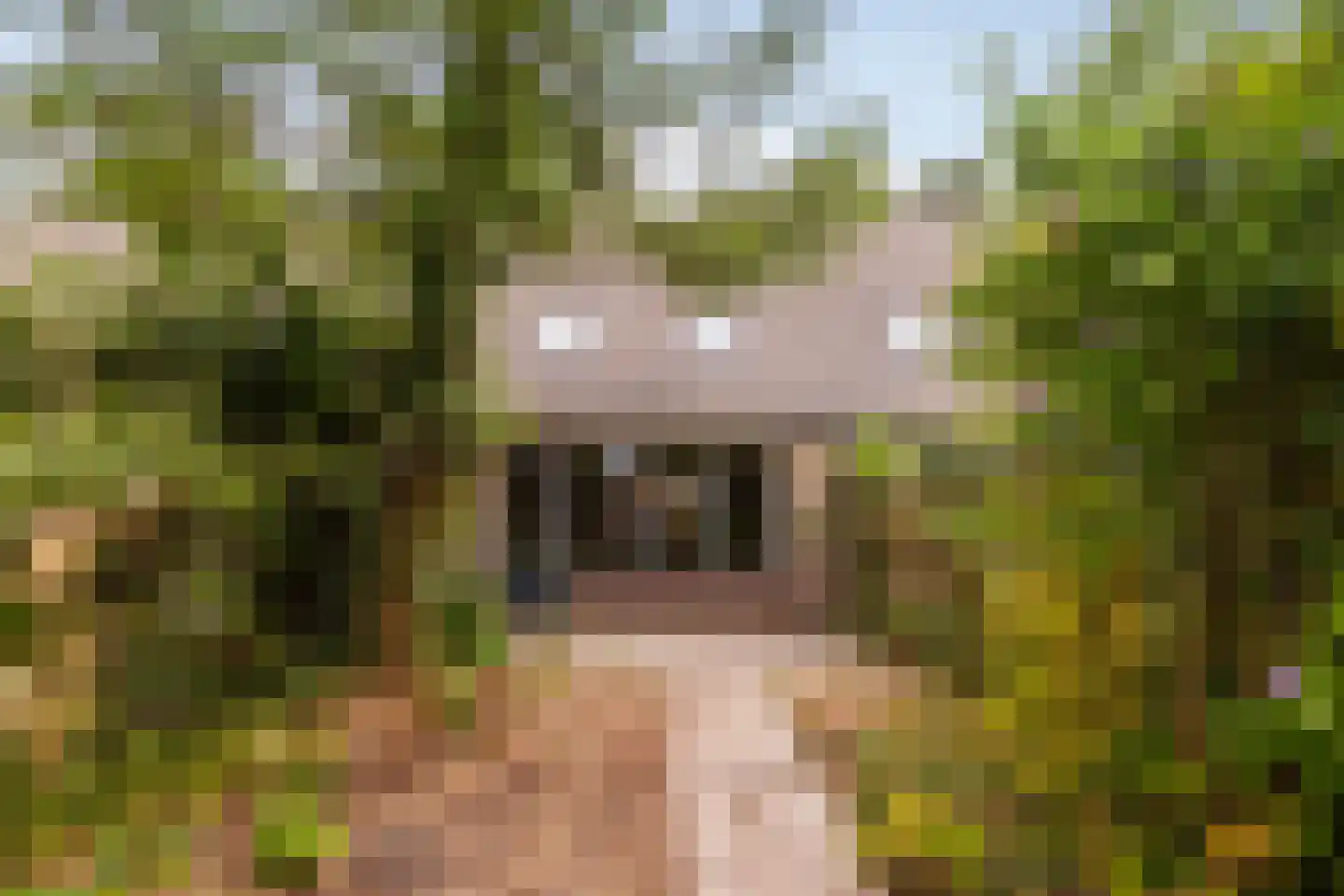 Bieslookveld 41 Doetinchem thumbnail 18