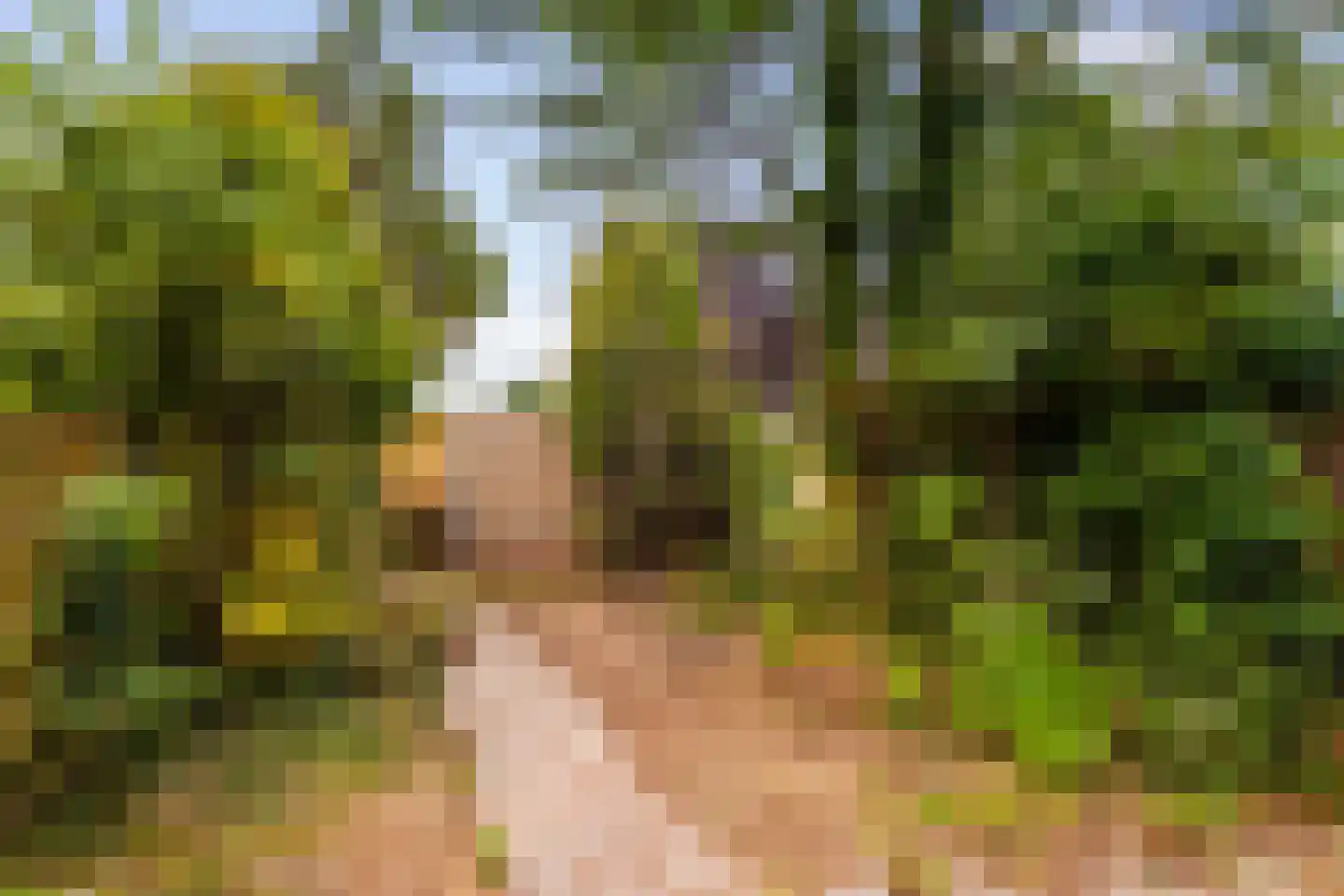 Bieslookveld 41 Doetinchem thumbnail 19