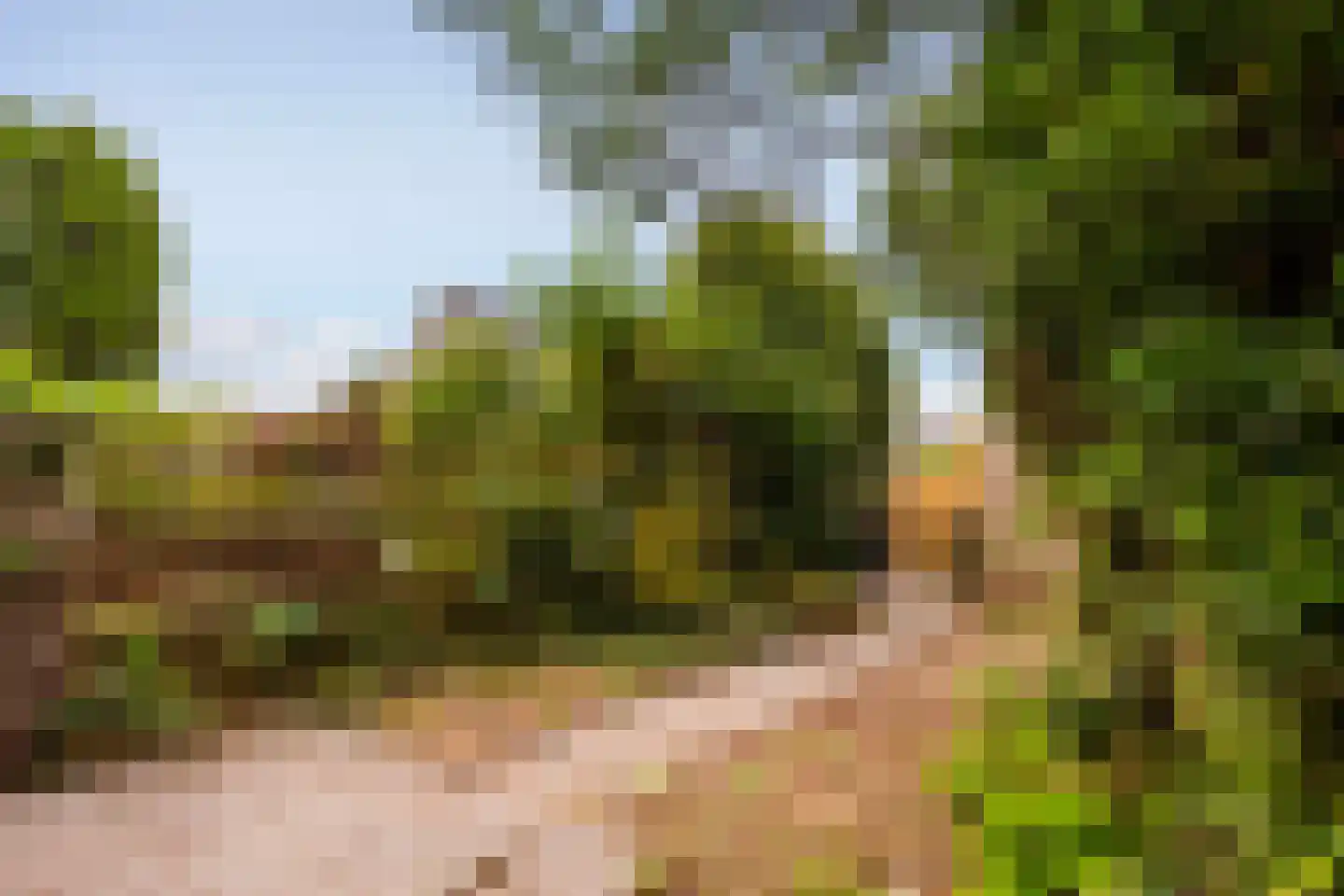 Bieslookveld 41 Doetinchem thumbnail 20