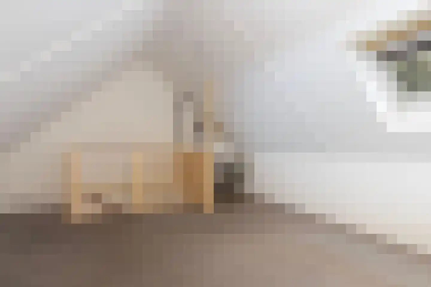 Bieslookveld 41 Doetinchem thumbnail 27
