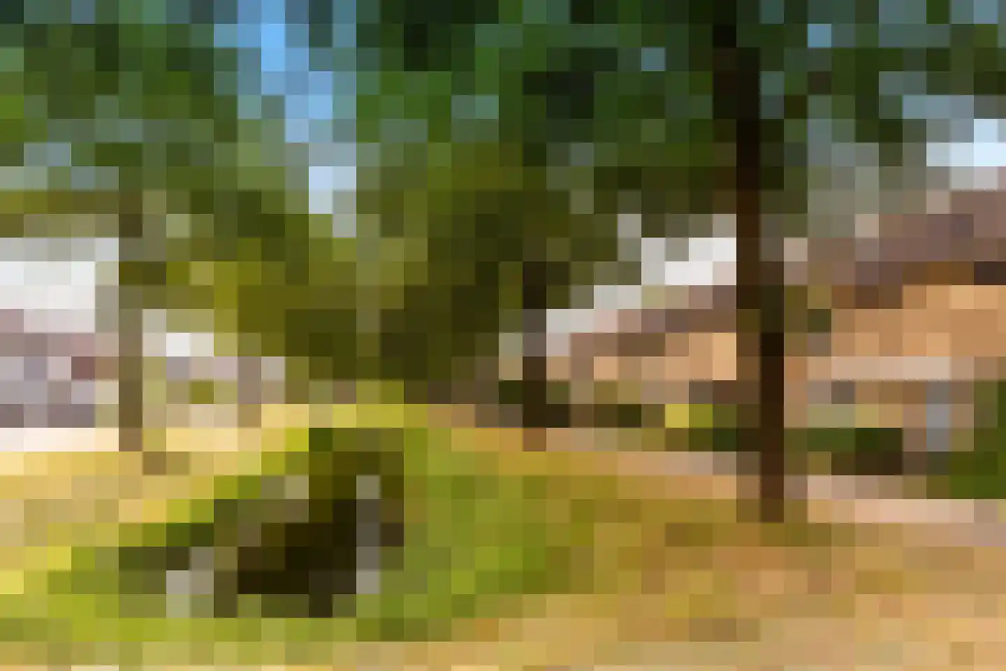 Bieslookveld 41 Doetinchem thumbnail 4