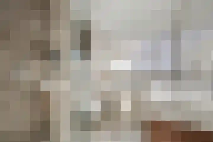 Bieslookveld 5 Schiedam thumbnail 28