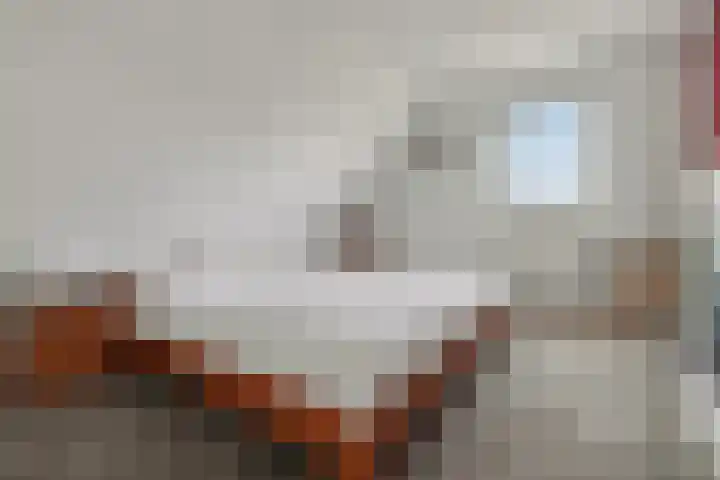 Bieslookveld 5 Schiedam thumbnail 35
