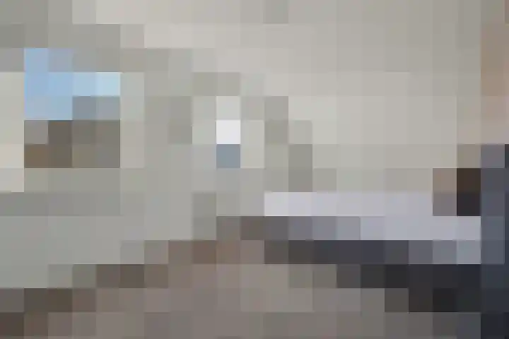 Bieslookveld 5 Schiedam thumbnail 37