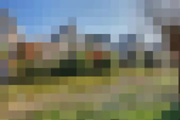 Bieslookveld 5 Schiedam thumbnail 39