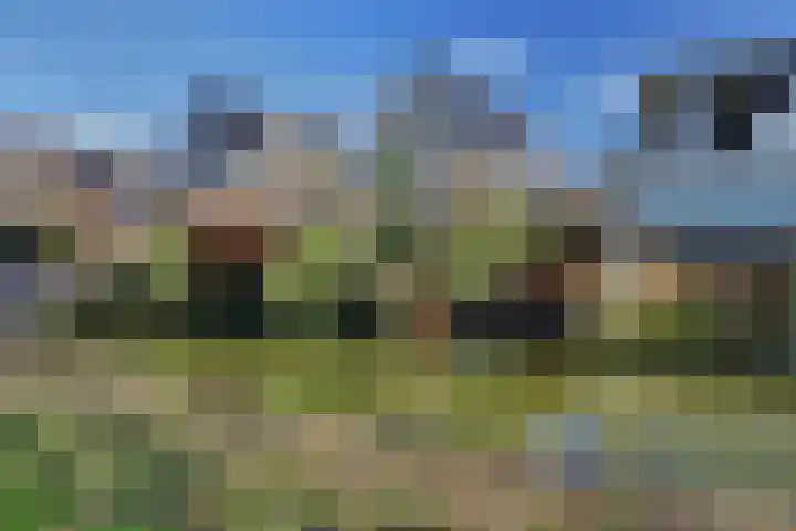 Bieslookveld 5 Schiedam thumbnail 4