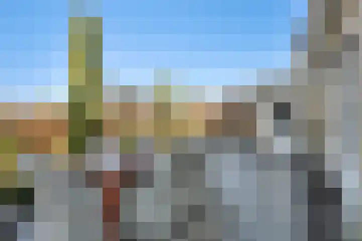 Bieslookveld 5 Schiedam thumbnail 41