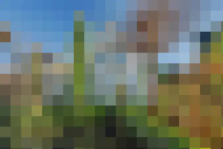Bieslookveld 5 Schiedam thumbnail 45