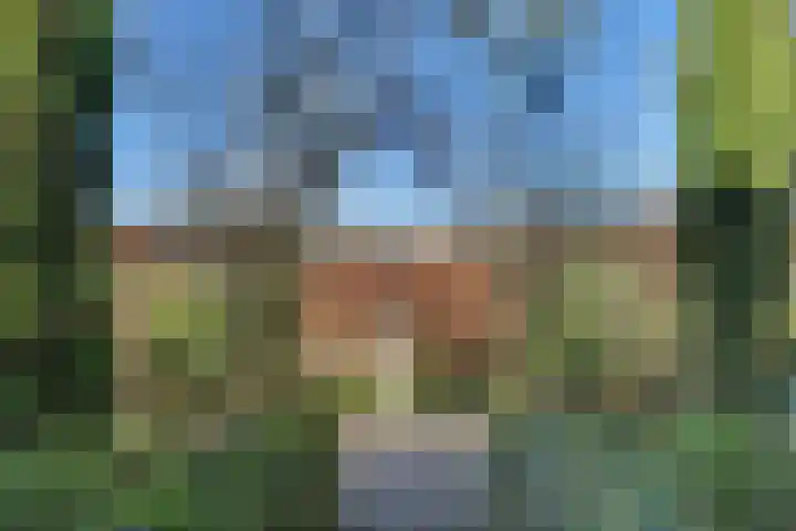 Bieslookveld 5 Schiedam thumbnail 47