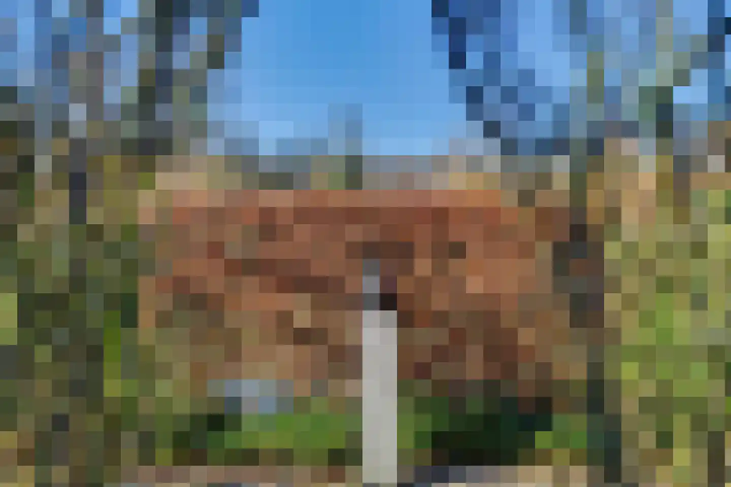 Bieslookveld 5 Schiedam thumbnail 48
