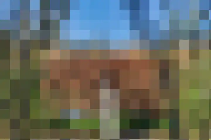 Bieslookveld 5 Schiedam thumbnail 48