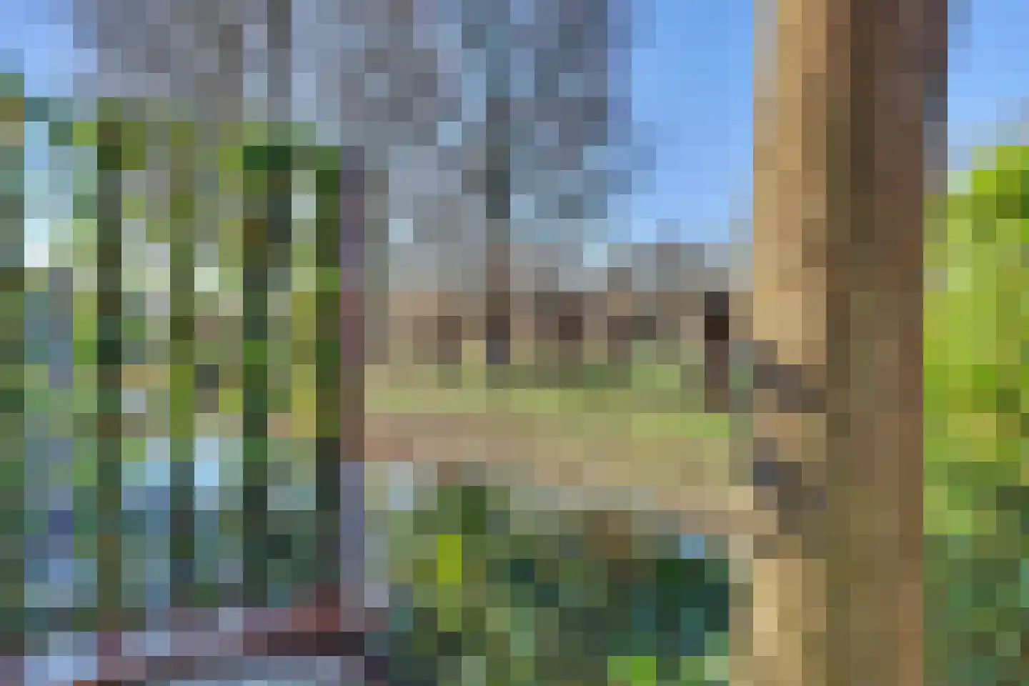 Bieslookveld 5 Schiedam thumbnail 49