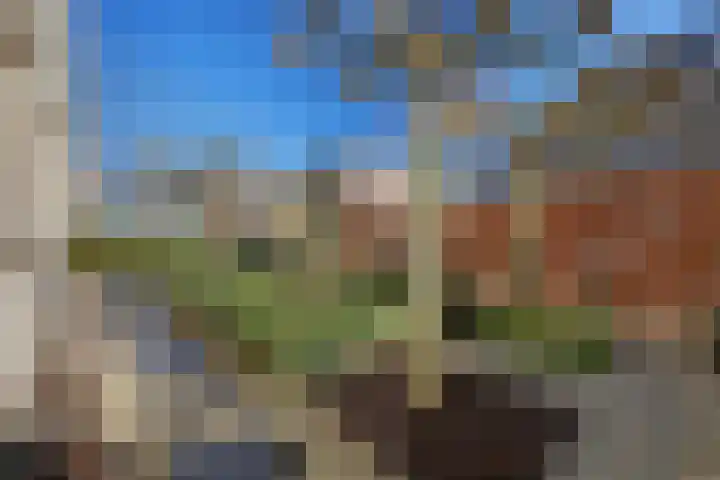 Bieslookveld 5 Schiedam thumbnail 50