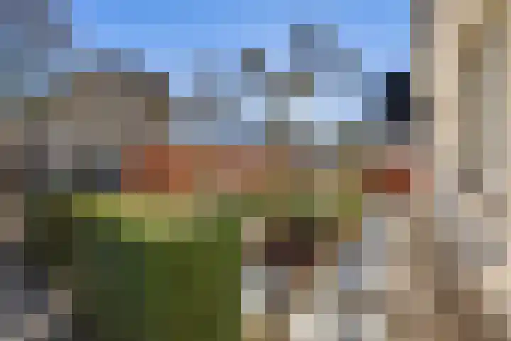 Bieslookveld 5 Schiedam thumbnail 51