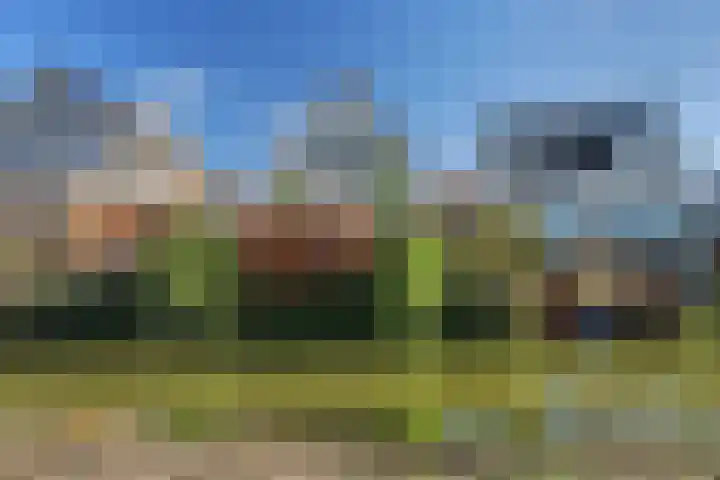Bieslookveld 5 Schiedam thumbnail 54