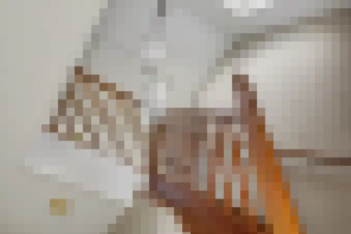 Bieslookveld 5 Schiedam thumbnail 8