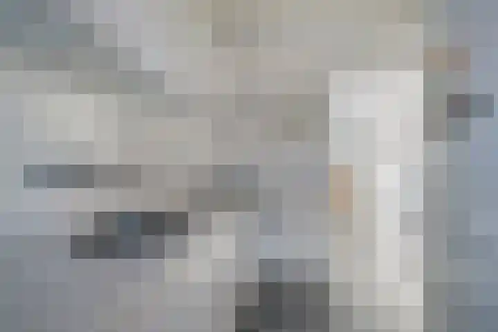 Bieslookweg 12 Tilburg thumbnail 12