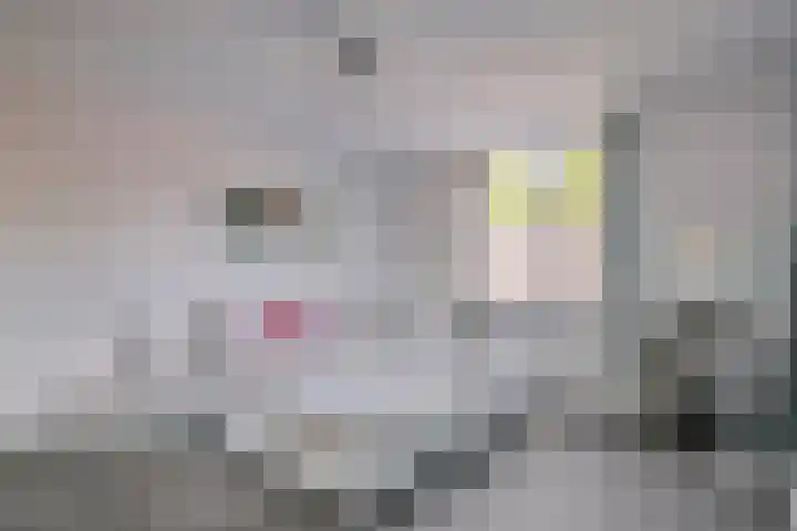 Bieslookweg 12 Tilburg thumbnail 14