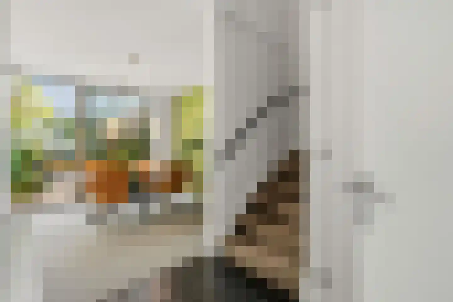 Biesmanstraat 1 Nijmegen thumbnail 13
