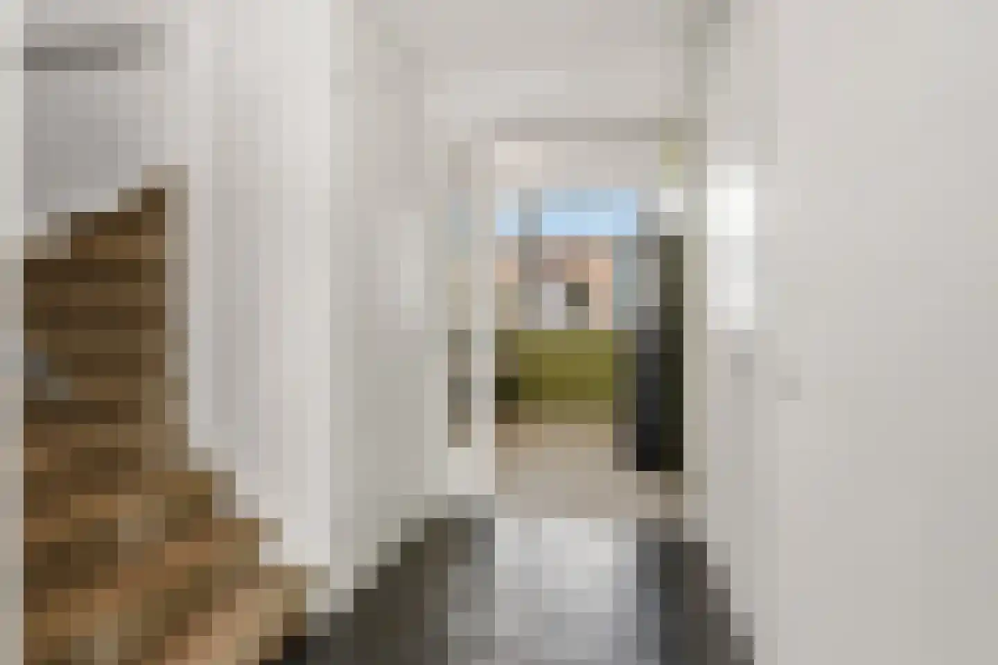 Biesmanstraat 1 Nijmegen thumbnail 17