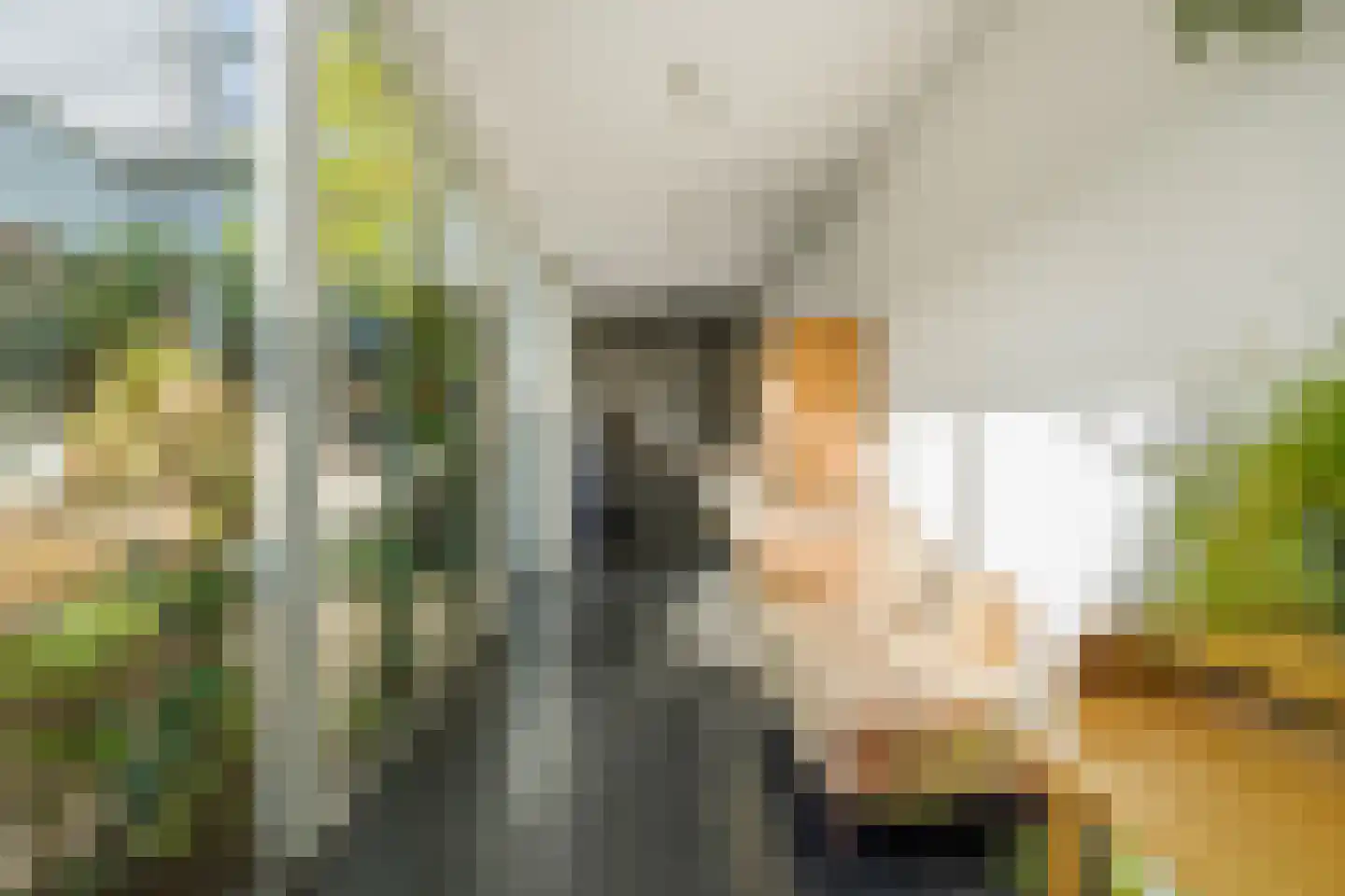 Biesmanstraat 1 Nijmegen thumbnail 6
